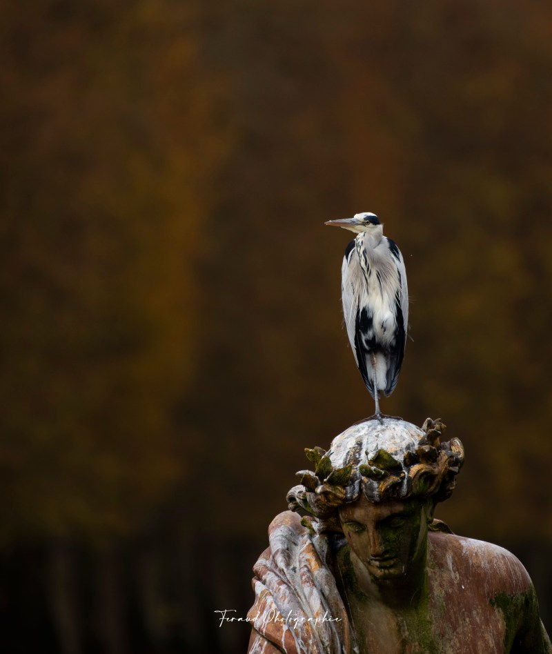 Tableau bois écoresponsable Héron automne