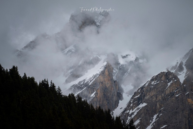 Rencontres inattendues