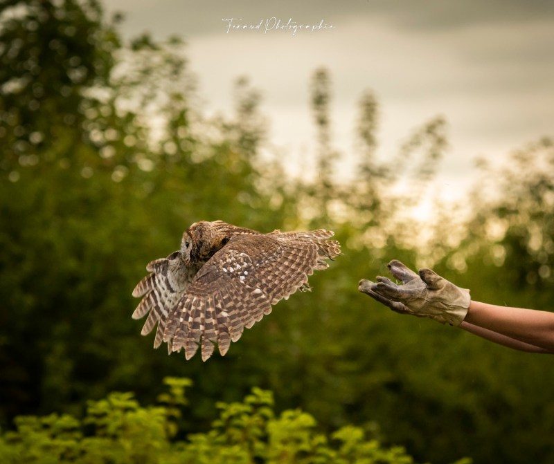 Reportage photos Vivre&nbsp;Faune-Alfort